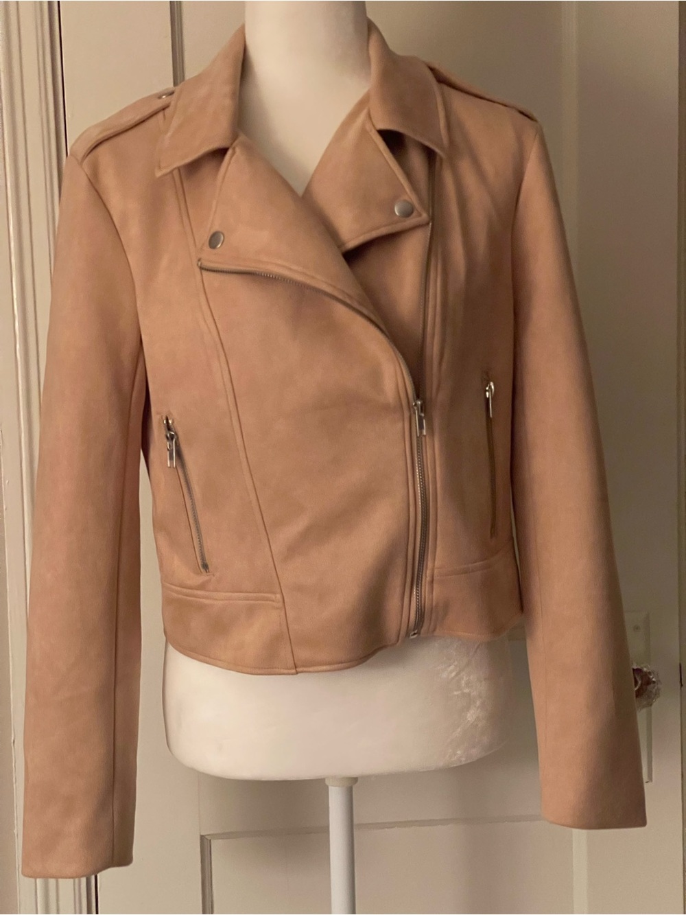 Bb Dakota Steve Madden Classic Women's Suede Moto Jacket in Camel